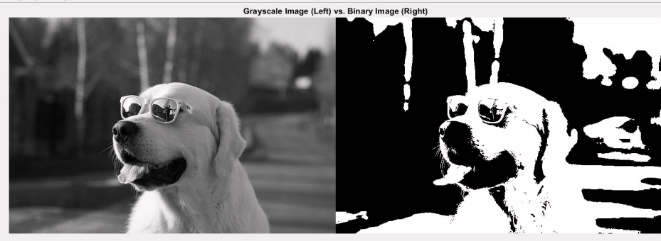 Sobel Image Processing